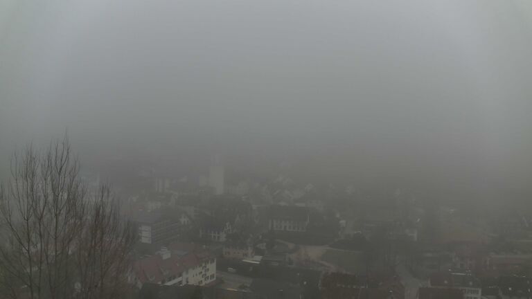 Dieses Bild zeigt eine Webcam-Aufnahme von Ottenhöfen, aufgenommen am Sonntag, den 08.02.2026 um 16:00 Uhr