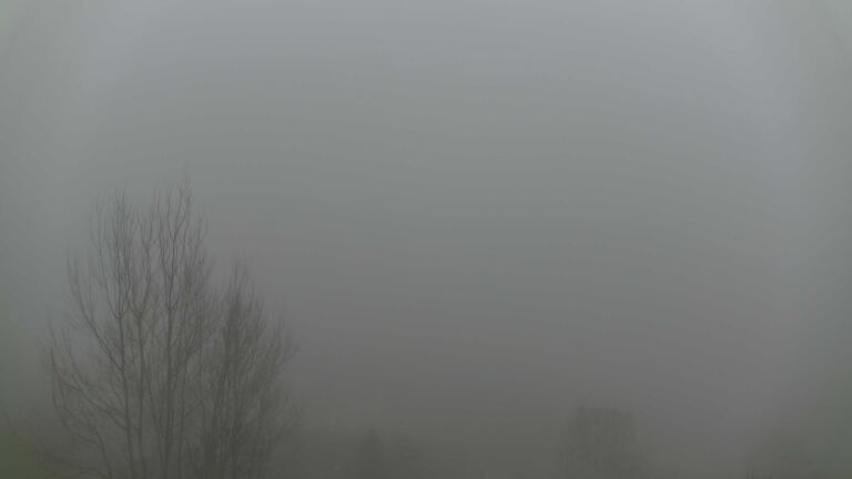 Dieses Bild zeigt eine Webcam-Aufnahme von Ottenhöfen, aufgenommen am Samstag, den 13.12.2025 um 14:40 Uhr