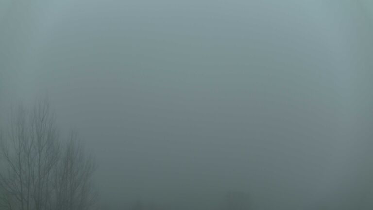 Dieses Bild zeigt eine Webcam-Aufnahme von Ottenhöfen, aufgenommen am Freitag, den 06.02.2026 um 08:00 Uhr