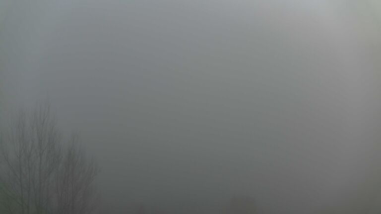 Dieses Bild zeigt eine Webcam-Aufnahme von Ottenhöfen, aufgenommen am Mittwoch, den 25.02.2026 um 17:50 Uhr