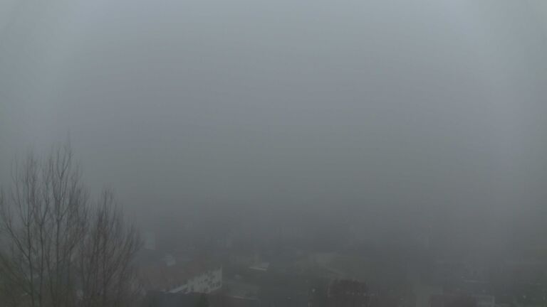 Dieses Bild zeigt eine Webcam-Aufnahme von Ottenhöfen, aufgenommen am Sonntag, den 08.02.2026 um 17:30 Uhr