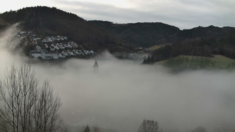 Dieses Bild zeigt eine Webcam-Aufnahme von Ottenhöfen, aufgenommen am Mittwoch, den 04.02.2026 um 09:00 Uhr