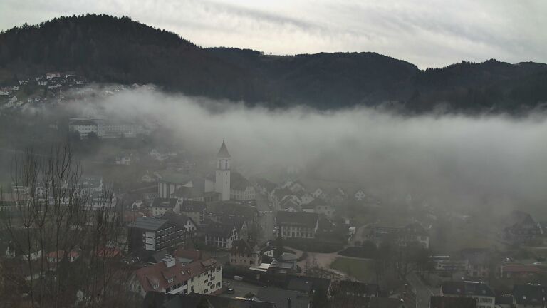 Dieses Bild zeigt eine Webcam-Aufnahme von Ottenhöfen, aufgenommen am Mittwoch, den 04.02.2026 um 11:40 Uhr