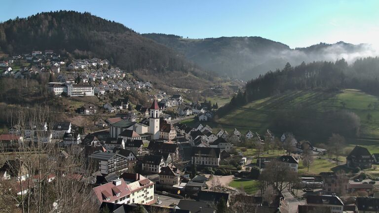 Dieses Bild zeigt eine Webcam-Aufnahme von Ottenhöfen, aufgenommen am Mittwoch, den 25.02.2026 um 15:00 Uhr