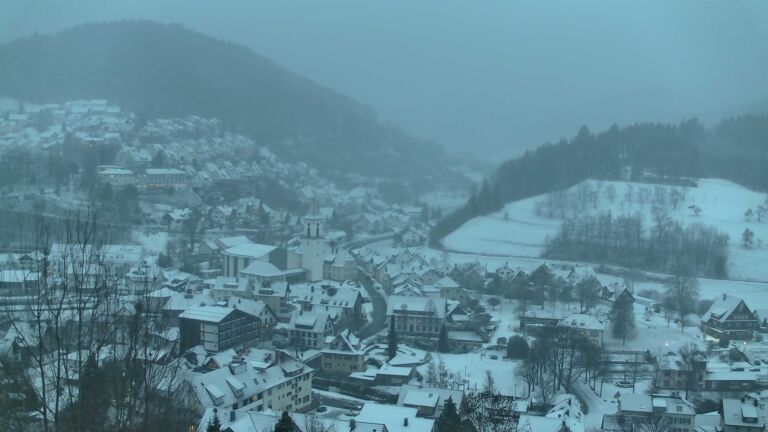 Dieses Bild zeigt eine Webcam-Aufnahme von Ottenhöfen, aufgenommen am Freitag, den 02.01.2026 um 08:20 Uhr