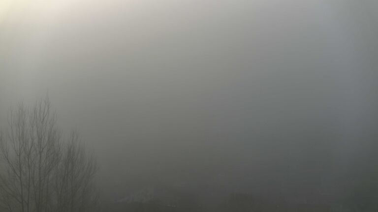 Dieses Bild zeigt eine Webcam-Aufnahme von Ottenhöfen, aufgenommen am Donnerstag, den 05.02.2026 um 08:50 Uhr