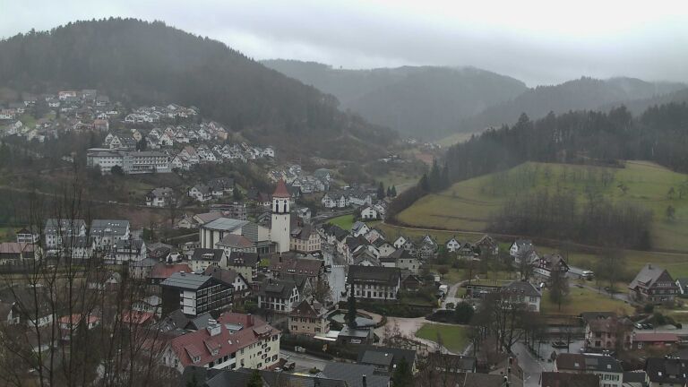 Dieses Bild zeigt eine Webcam-Aufnahme von Ottenhöfen, aufgenommen am Donnerstag, den 12.02.2026 um 11:20 Uhr