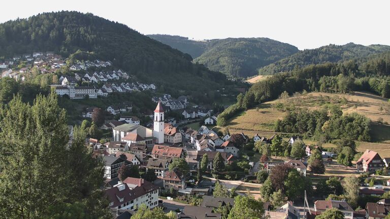 Dieses Bild zeigt eine Webcam-Aufnahme von Ottenhöfen, aufgenommen am Mittwoch, den 29.07.2026 um 07:50 Uhr
