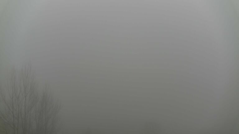 Dieses Bild zeigt eine Webcam-Aufnahme von Ottenhöfen, aufgenommen am Mittwoch, den 28.01.2026 um 14:00 Uhr