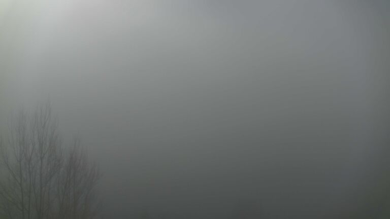 Dieses Bild zeigt eine Webcam-Aufnahme von Ottenhöfen, aufgenommen am Mittwoch, den 25.02.2026 um 09:50 Uhr