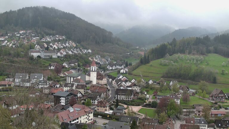 Dieses Bild zeigt eine Webcam-Aufnahme von Ottenhöfen, aufgenommen am Dienstag, den 14.04.2026 um 11:50 Uhr