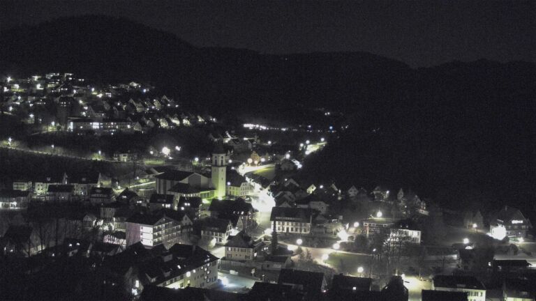 Dieses Bild zeigt eine Webcam-Aufnahme von Ottenhöfen, aufgenommen am Mittwoch, den 08.04.2026 um 21:30 Uhr