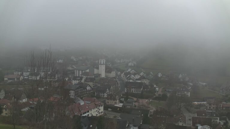 Dieses Bild zeigt eine Webcam-Aufnahme von Ottenhöfen, aufgenommen am Dienstag, den 16.12.2025 um 14:30 Uhr