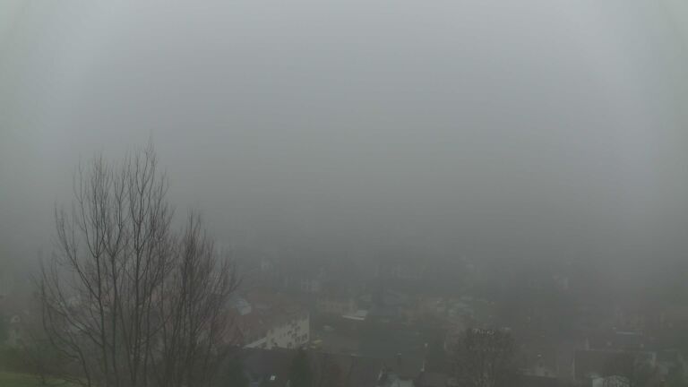 Dieses Bild zeigt eine Webcam-Aufnahme von Ottenhöfen, aufgenommen am Samstag, den 13.12.2025 um 08:30 Uhr