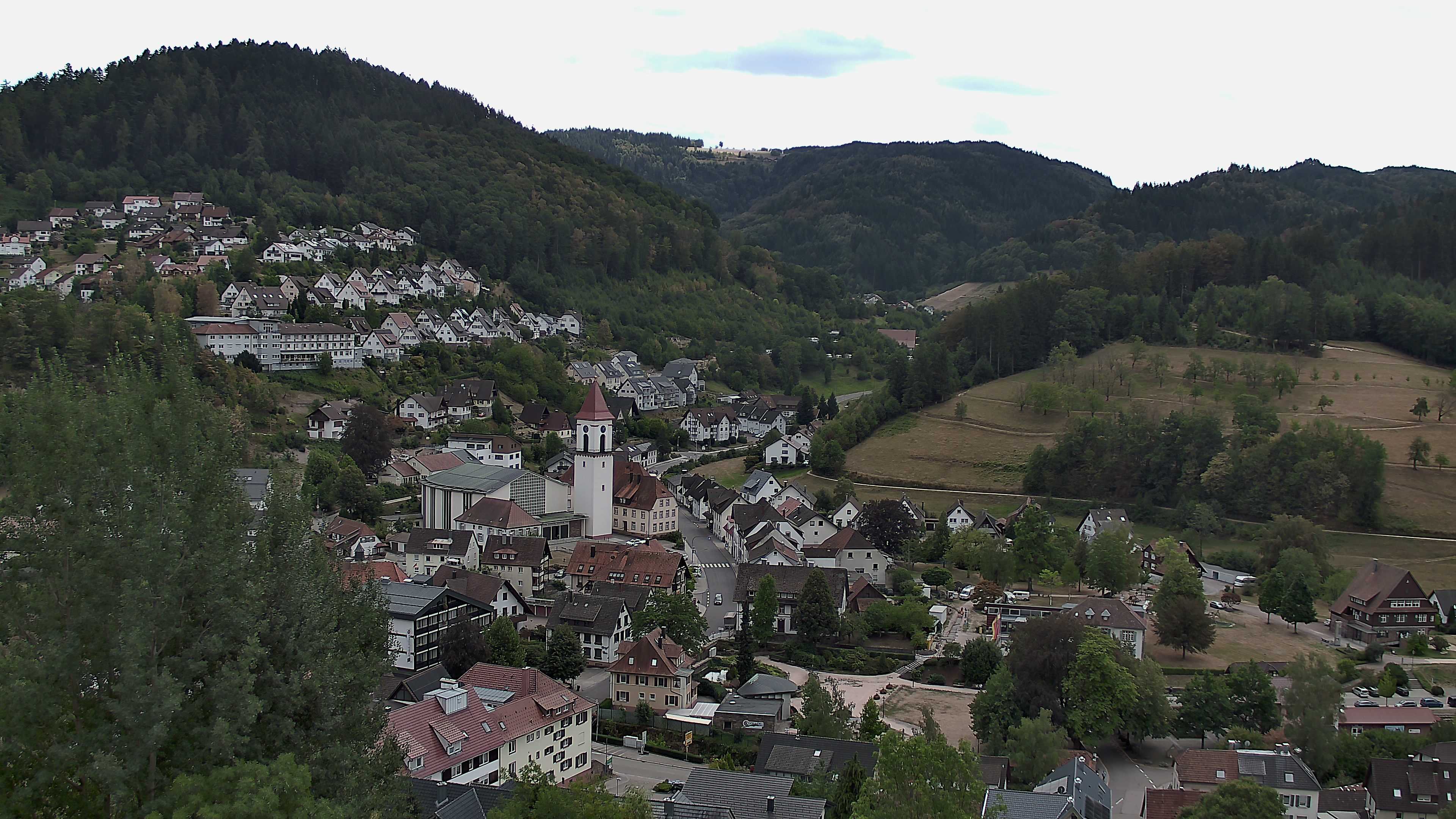 Zum Fotoarchiv vom Mittwoch, 19. August 2026