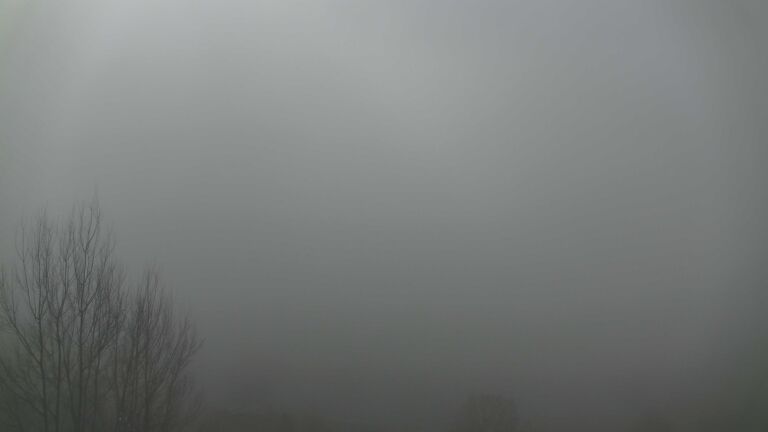 Dieses Bild zeigt eine Webcam-Aufnahme von Ottenhöfen, aufgenommen am Mittwoch, den 25.02.2026 um 10:30 Uhr