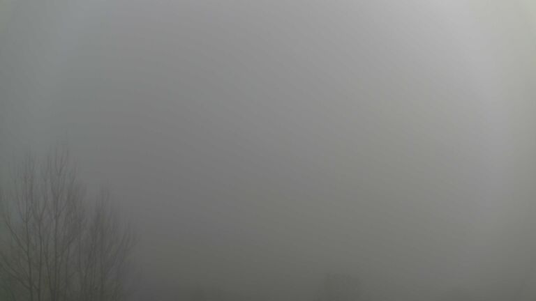 Dieses Bild zeigt eine Webcam-Aufnahme von Ottenhöfen, aufgenommen am Sonntag, den 21.12.2025 um 12:10 Uhr