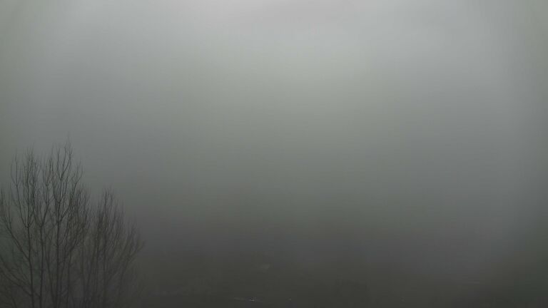 Dieses Bild zeigt eine Webcam-Aufnahme von Ottenhöfen, aufgenommen am Sonntag, den 08.02.2026 um 11:30 Uhr