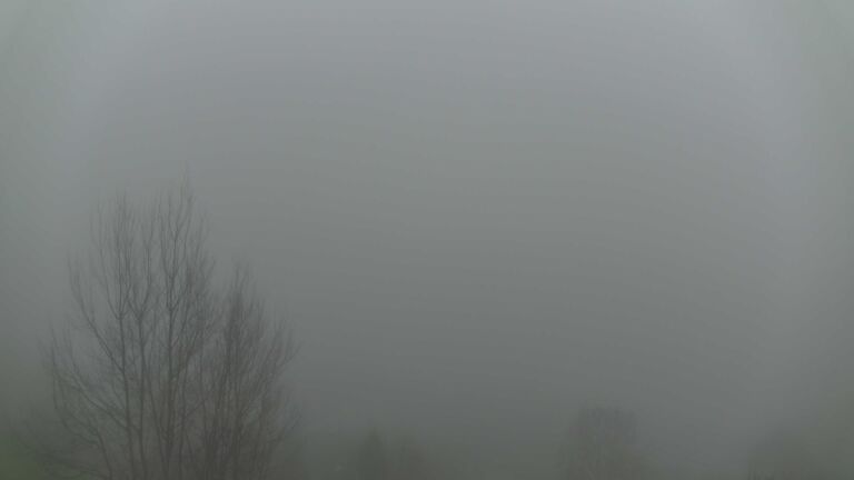 Dieses Bild zeigt eine Webcam-Aufnahme von Ottenhöfen, aufgenommen am Sonntag, den 14.12.2025 um 08:30 Uhr