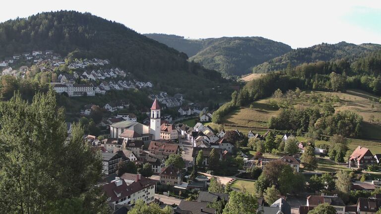 Dieses Bild zeigt eine Webcam-Aufnahme von Ottenhöfen, aufgenommen am Donnerstag, den 03.09.2026 um 08:50 Uhr