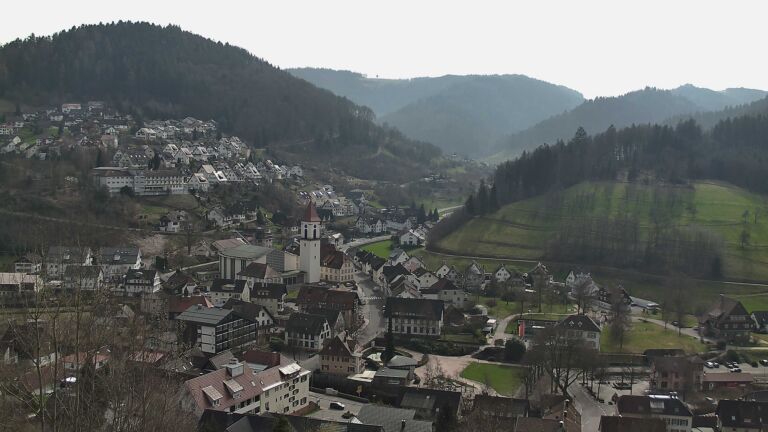 Dieses Bild zeigt eine Webcam-Aufnahme von Ottenhöfen, aufgenommen am Freitag, den 06.03.2026 um 12:50 Uhr