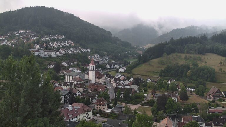 Dieses Bild zeigt eine Webcam-Aufnahme von Ottenhöfen, aufgenommen am Sonntag, den 19.07.2026 um 08:30 Uhr