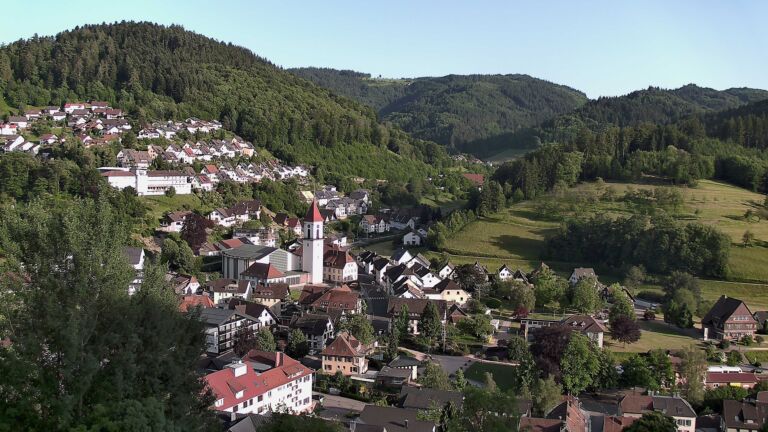 Dieses Bild zeigt eine Webcam-Aufnahme von Ottenhöfen, aufgenommen am Freitag, den 29.05.2026 um 19:20 Uhr