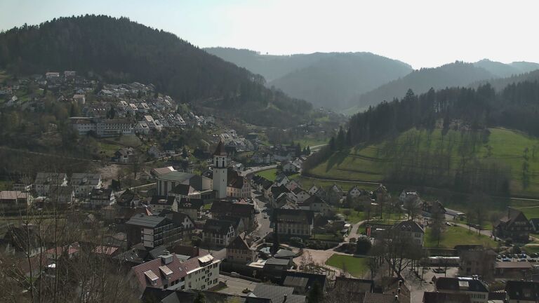 Dieses Bild zeigt eine Webcam-Aufnahme von Ottenhöfen, aufgenommen am Sonntag, den 22.03.2026 um 12:50 Uhr