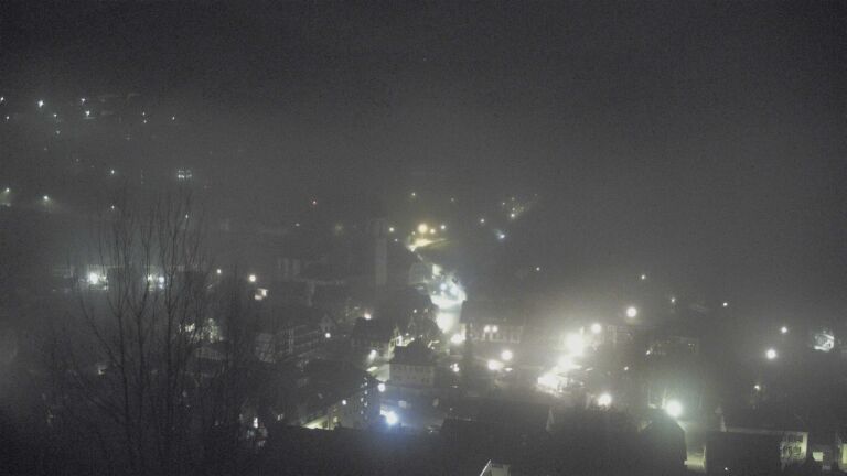 Dieses Bild zeigt eine Webcam-Aufnahme von Ottenhöfen, aufgenommen am Samstag, den 13.12.2025 um 02:30 Uhr