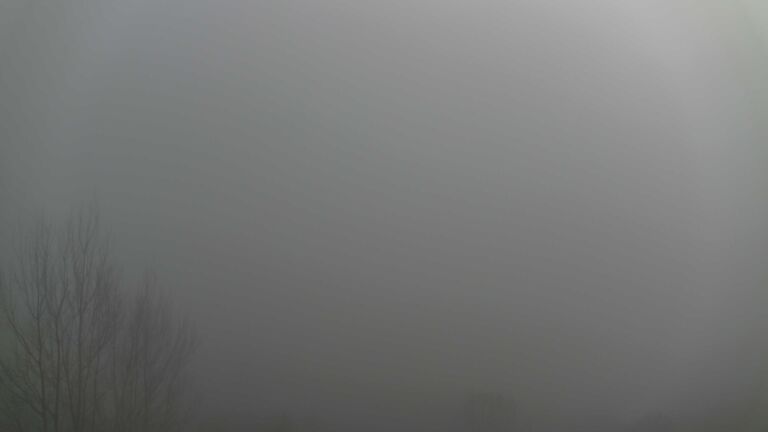 Dieses Bild zeigt eine Webcam-Aufnahme von Ottenhöfen, aufgenommen am Sonntag, den 21.12.2025 um 13:30 Uhr