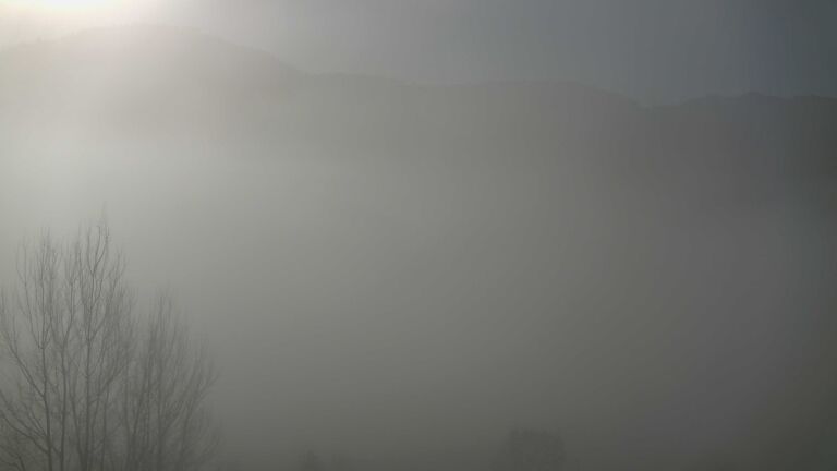 Dieses Bild zeigt eine Webcam-Aufnahme von Ottenhöfen, aufgenommen am Sonntag, den 08.02.2026 um 10:00 Uhr