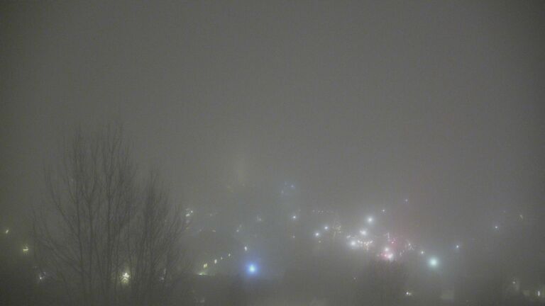 Dieses Bild zeigt eine Webcam-Aufnahme von Ottenhöfen, aufgenommen am Sonntag, den 14.12.2025 um 21:00 Uhr