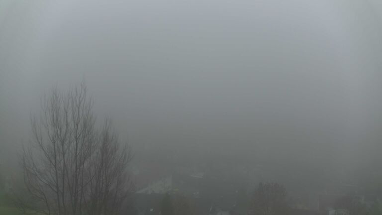 Dieses Bild zeigt eine Webcam-Aufnahme von Ottenhöfen, aufgenommen am Samstag, den 13.12.2025 um 08:40 Uhr