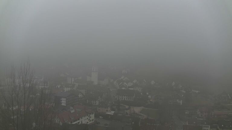 Dieses Bild zeigt eine Webcam-Aufnahme von Ottenhöfen, aufgenommen am Samstag, den 14.02.2026 um 11:00 Uhr