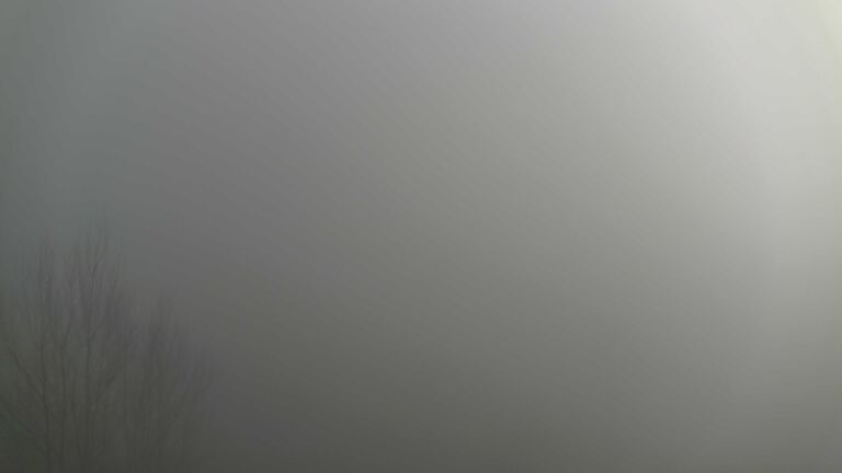 Dieses Bild zeigt eine Webcam-Aufnahme von Ottenhöfen, aufgenommen am Sonntag, den 21.12.2025 um 13:50 Uhr