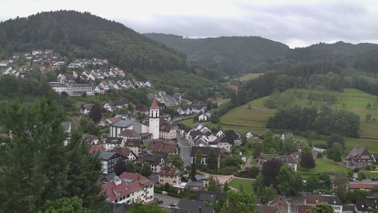 Dieses Bild zeigt eine Webcam-Aufnahme von Ottenhöfen, aufgenommen am Donnerstag, den 11.06.2026 um 08:00 Uhr