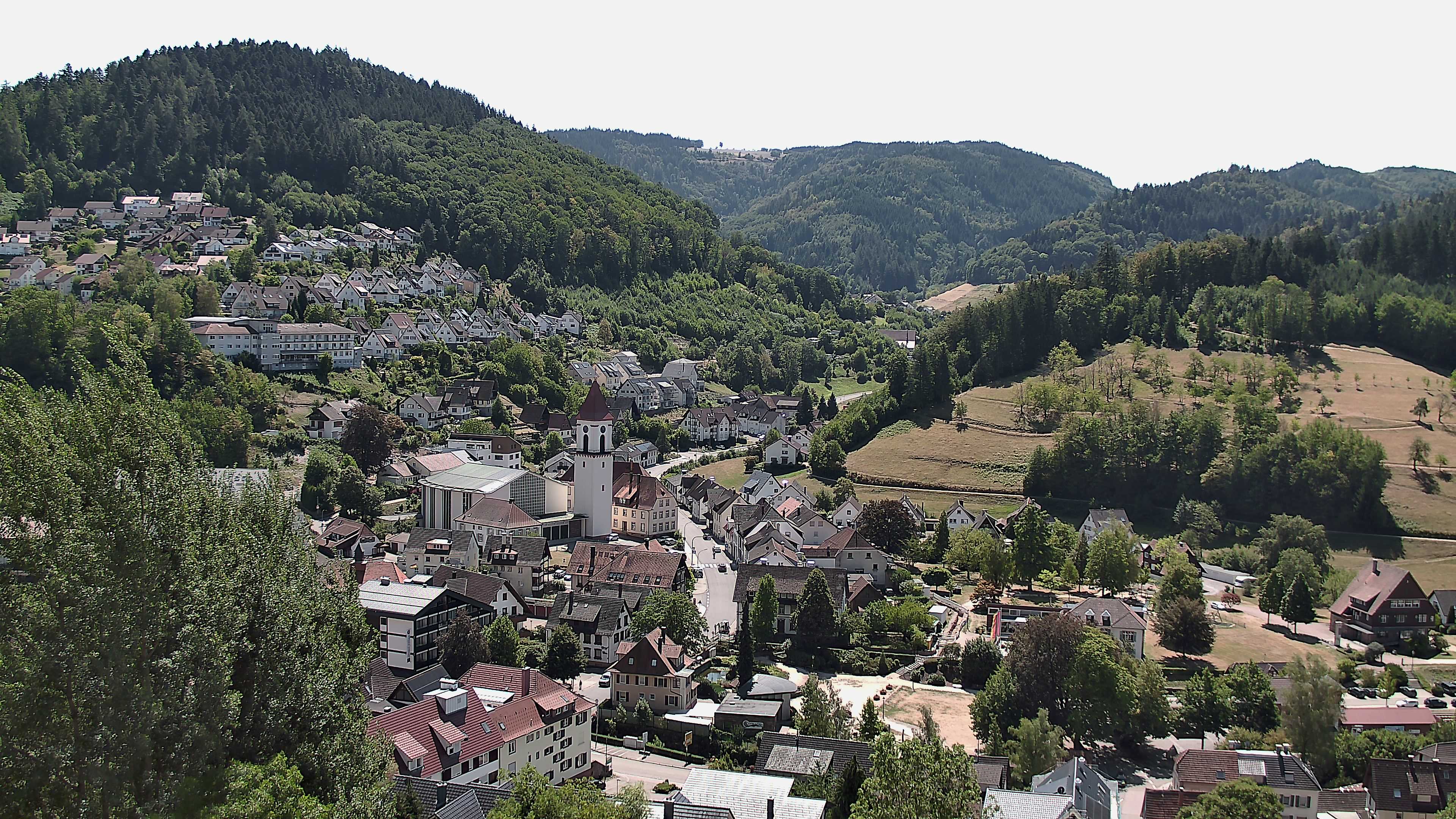 Zum Fotoarchiv vom Mittwoch, 12. August 2026