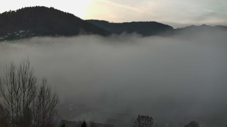 Dieses Bild zeigt eine Webcam-Aufnahme von Ottenhöfen, aufgenommen am Sonntag, den 21.12.2025 um 08:30 Uhr