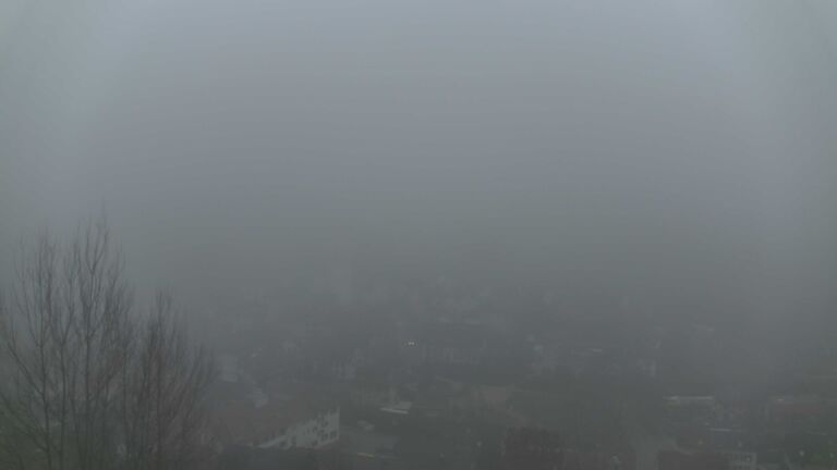 Dieses Bild zeigt eine Webcam-Aufnahme von Ottenhöfen, aufgenommen am Montag, den 22.12.2025 um 16:20 Uhr