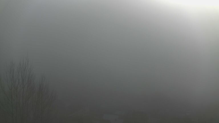 Dieses Bild zeigt eine Webcam-Aufnahme von Ottenhöfen, aufgenommen am Sonntag, den 28.12.2025 um 12:20 Uhr