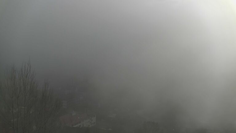 Dieses Bild zeigt eine Webcam-Aufnahme von Ottenhöfen, aufgenommen am Montag, den 02.02.2026 um 14:20 Uhr