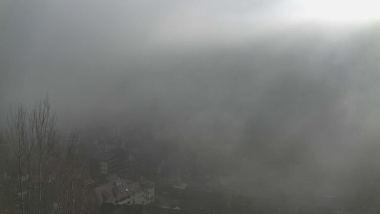 Dieses Bild zeigt eine Webcam-Aufnahme von Ottenhöfen, aufgenommen am Sonntag, den 08.02.2026 um 14:50 Uhr