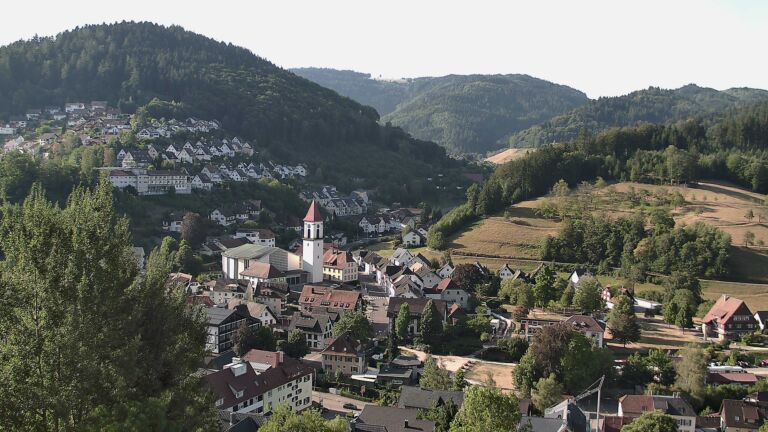 Dieses Bild zeigt eine Webcam-Aufnahme von Ottenhöfen, aufgenommen am Dienstag, den 11.08.2026 um 08:50 Uhr