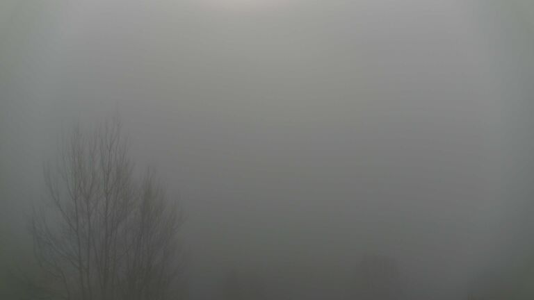 Dieses Bild zeigt eine Webcam-Aufnahme von Ottenhöfen, aufgenommen am Dienstag, den 16.12.2025 um 10:50 Uhr