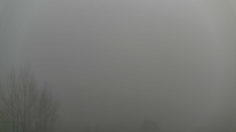 Dieses Bild zeigt eine Webcam-Aufnahme von Ottenhöfen, aufgenommen am Sonntag, den 21.12.2025 um 16:00 Uhr