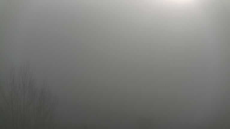 Dieses Bild zeigt eine Webcam-Aufnahme von Ottenhöfen, aufgenommen am Sonntag, den 21.12.2025 um 12:20 Uhr