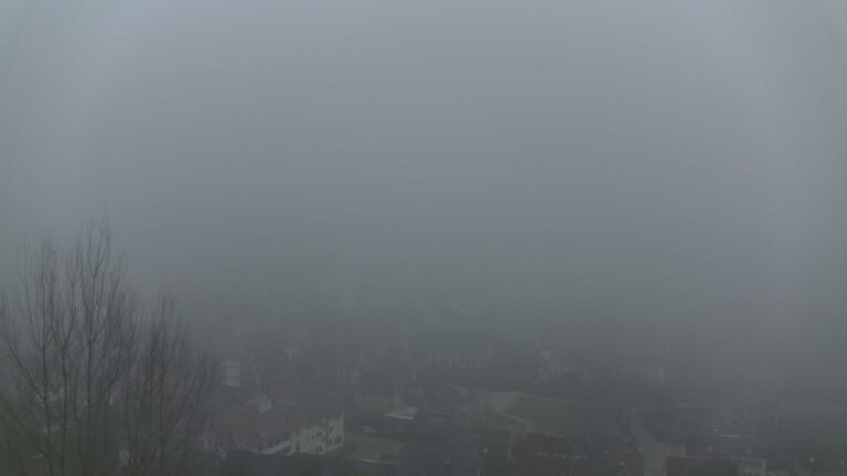 Dieses Bild zeigt eine Webcam-Aufnahme von Ottenhöfen, aufgenommen am Sonntag, den 08.02.2026 um 17:00 Uhr