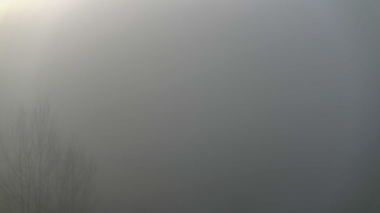 Dieses Bild zeigt eine Webcam-Aufnahme von Ottenhöfen, aufgenommen am Donnerstag, den 05.02.2026 um 09:00 Uhr