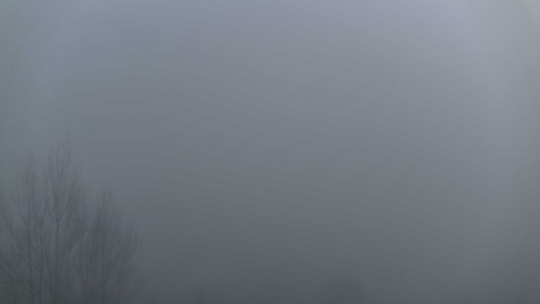 Dieses Bild zeigt eine Webcam-Aufnahme von Ottenhöfen, aufgenommen am Mittwoch, den 25.02.2026 um 18:10 Uhr