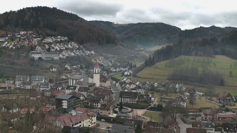 Dieses Bild zeigt eine Webcam-Aufnahme von Ottenhöfen, aufgenommen am Sonntag, den 01.02.2026 um 12:50 Uhr